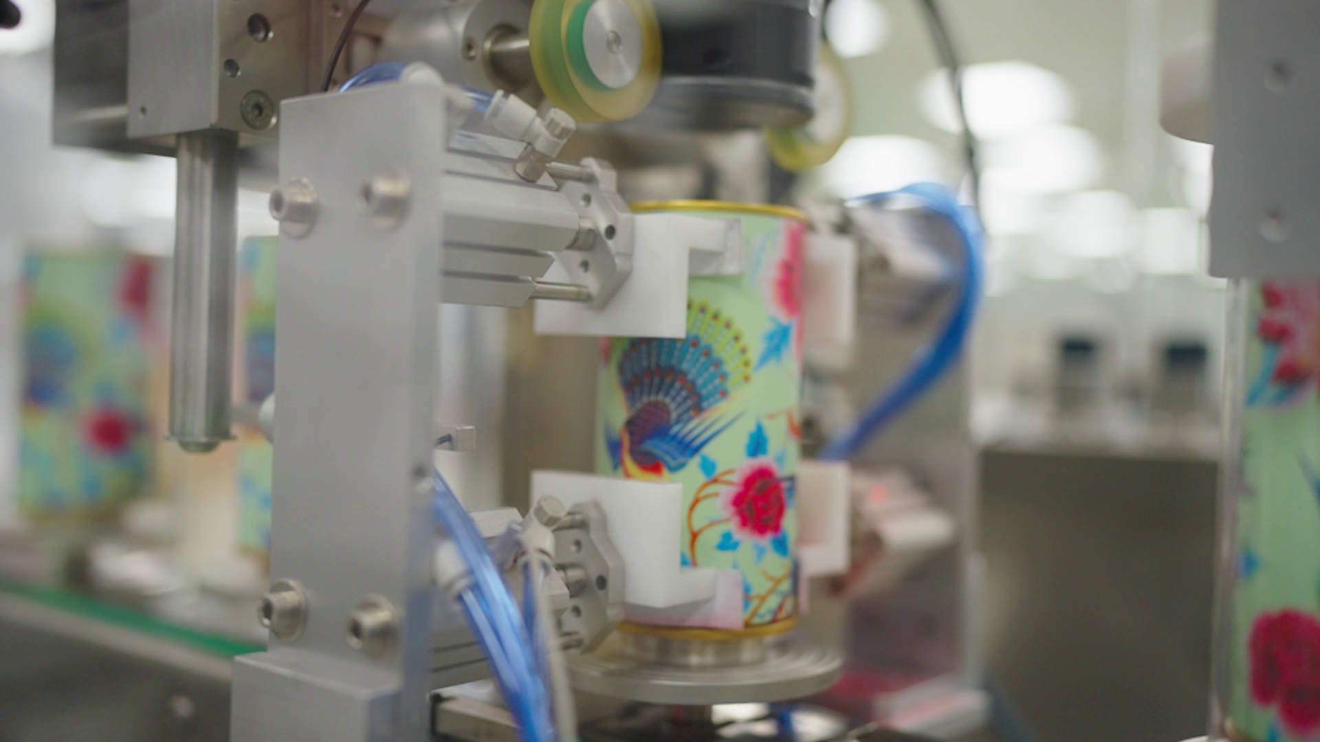 Formato especial - 2